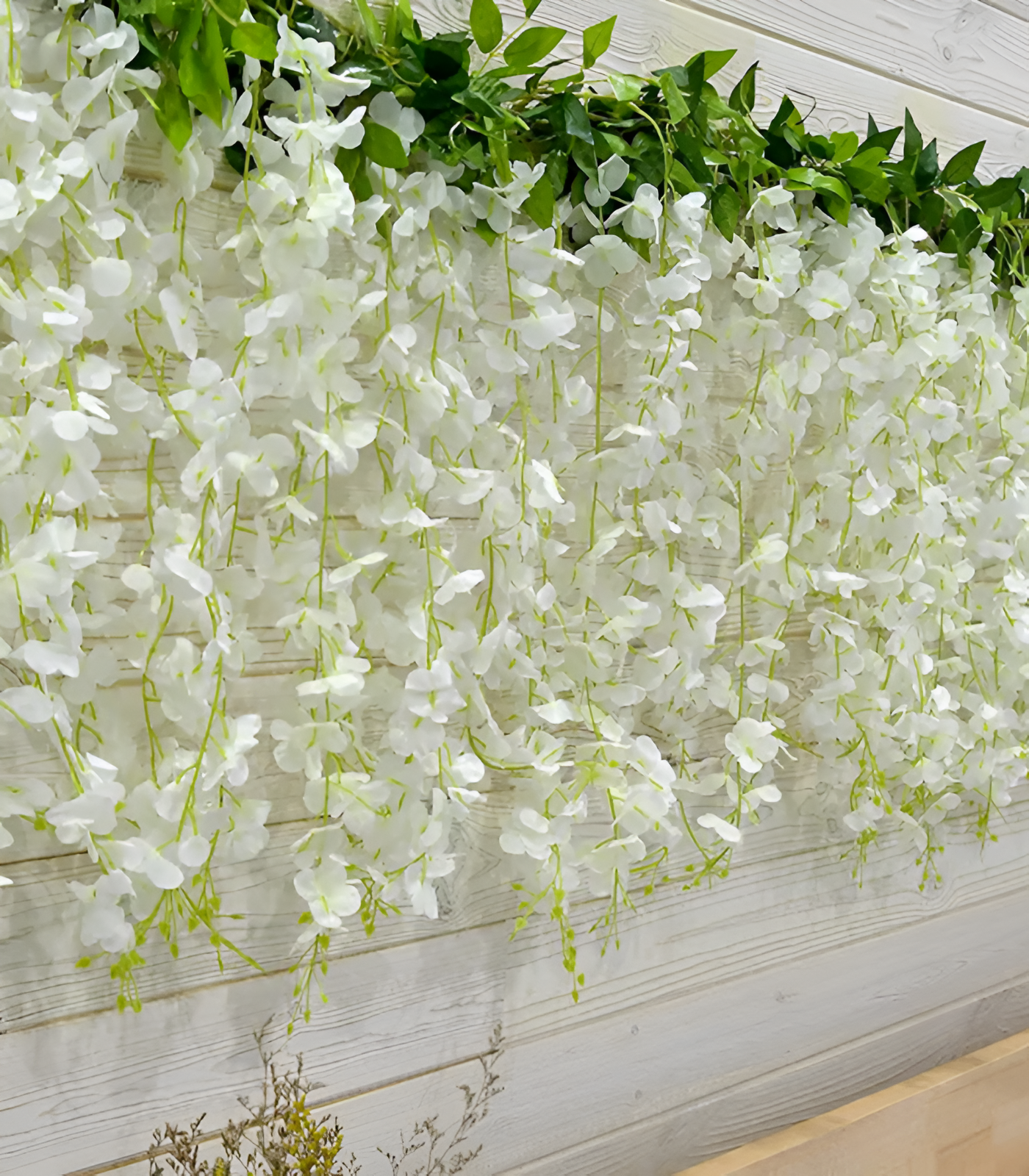 🌸Wisteria - A beleza em cascata do jardim o ano todo