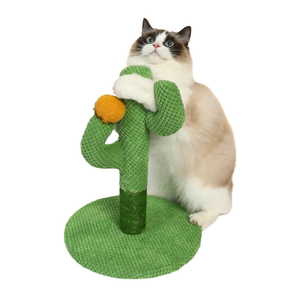 Arranhador em Forma de Cacto para Gatos - Brinquedo Interativo e Estético