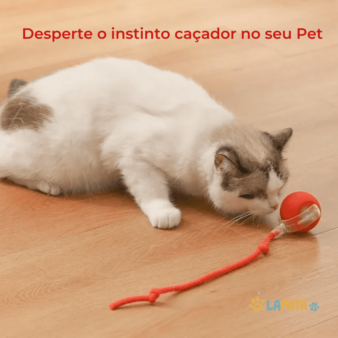 Bola Interativa para Caça de Cães e Gatos - Brinquedo Estimulante para Pets
