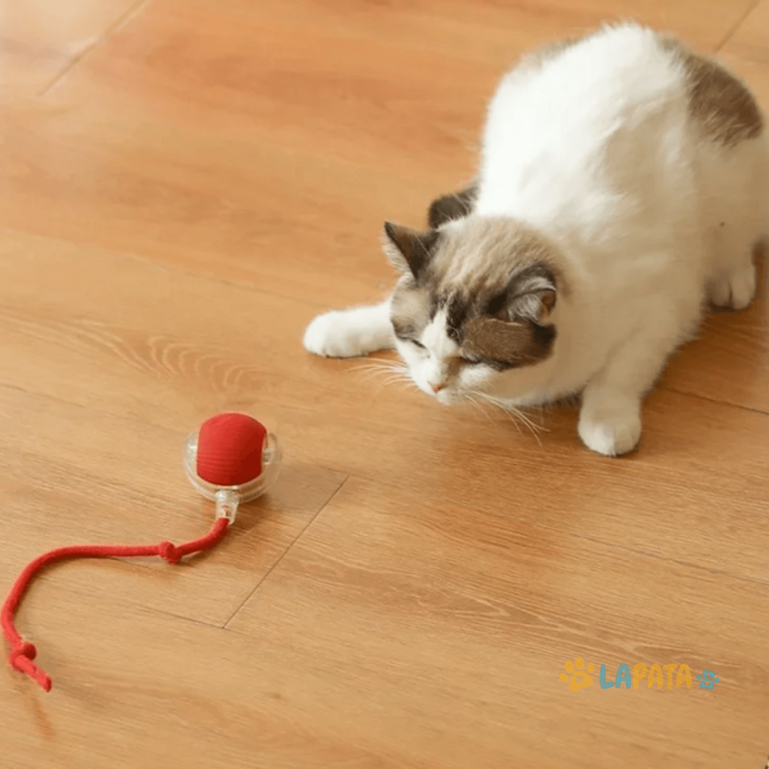 Bola Interativa para Caça de Cães e Gatos - Brinquedo Estimulante para Pets