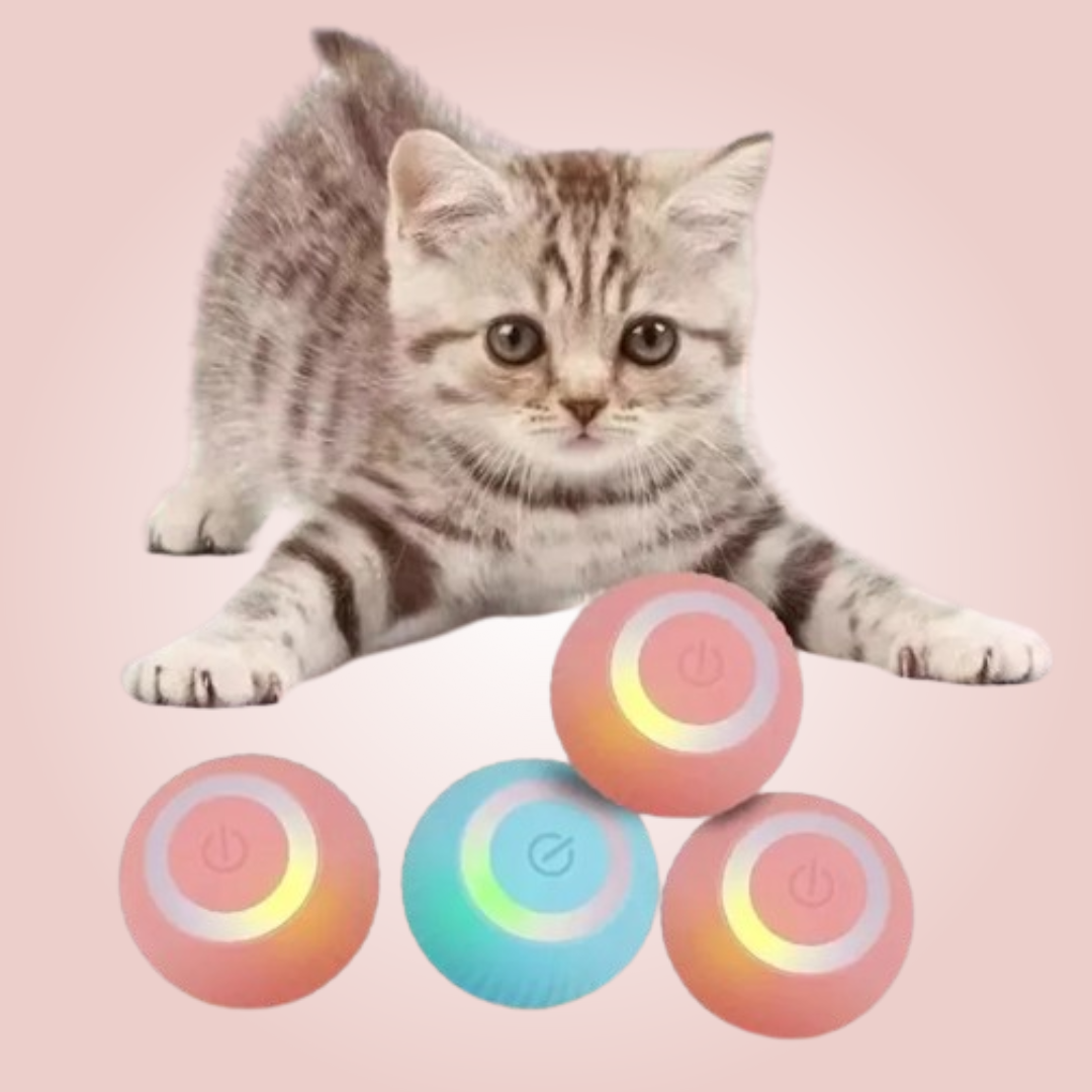 Bola Interativa para Gato - Brinquedo Inteligente com Luz LED e Sensor de Movimento