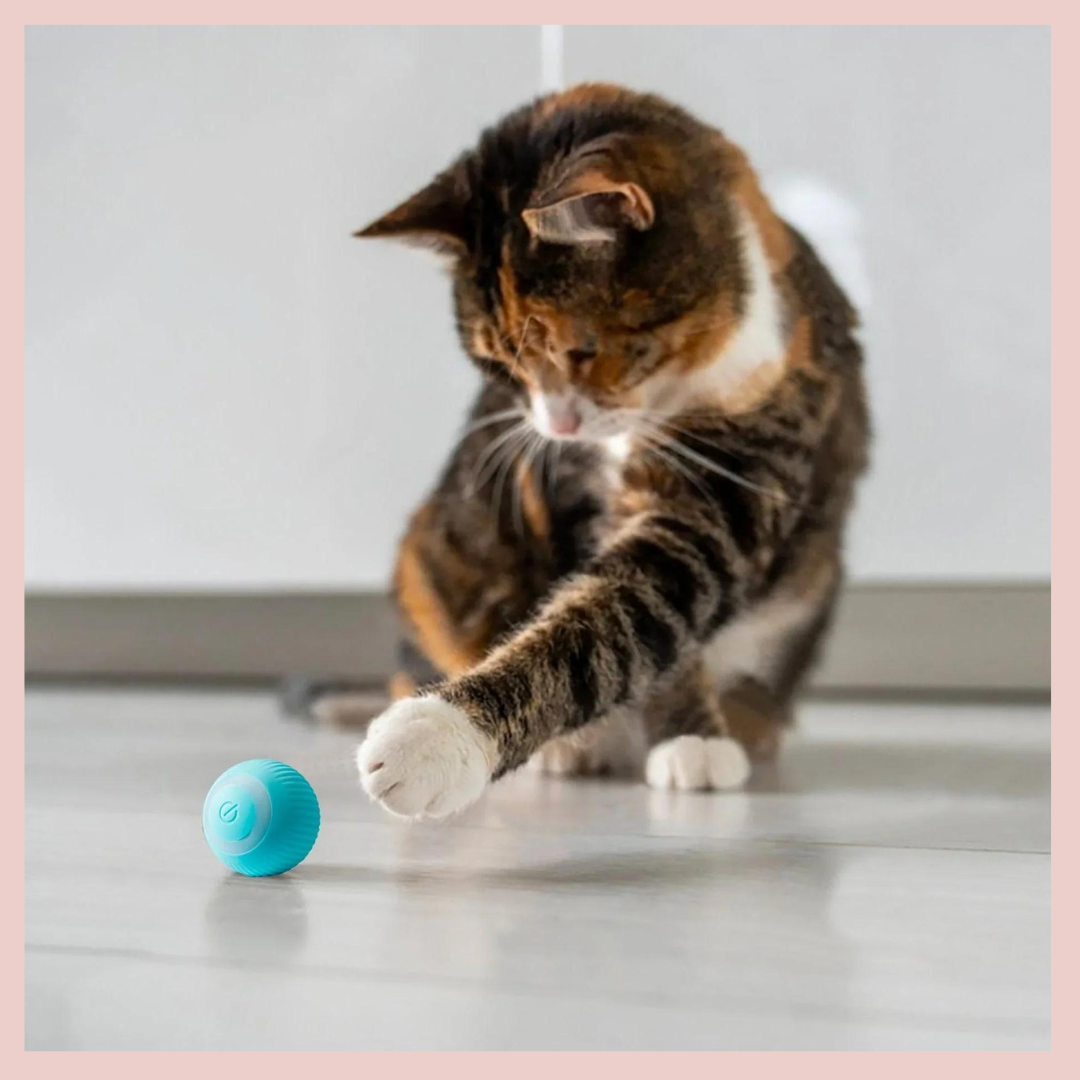 Bola Interativa para Gato - Brinquedo Inteligente com Luz LED e Sensor de Movimento