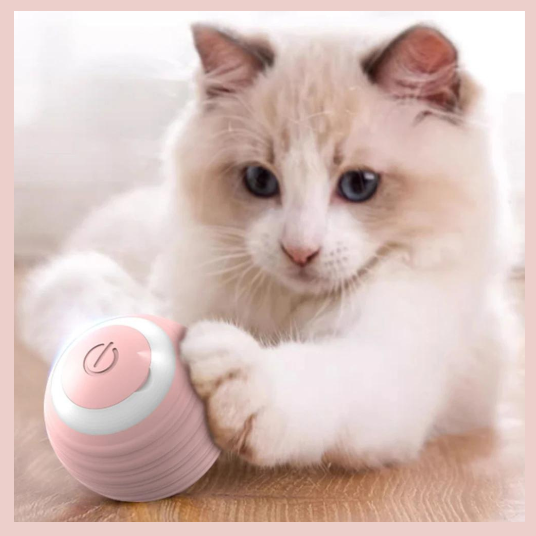 Bola Interativa para Gato - Brinquedo Inteligente com Luz LED e Sensor de Movimento