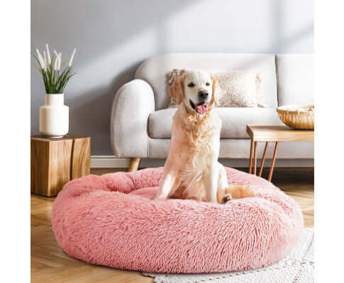 Cama de Luxo Nuvem para Cães e Gatos - Aconchego e Conforto