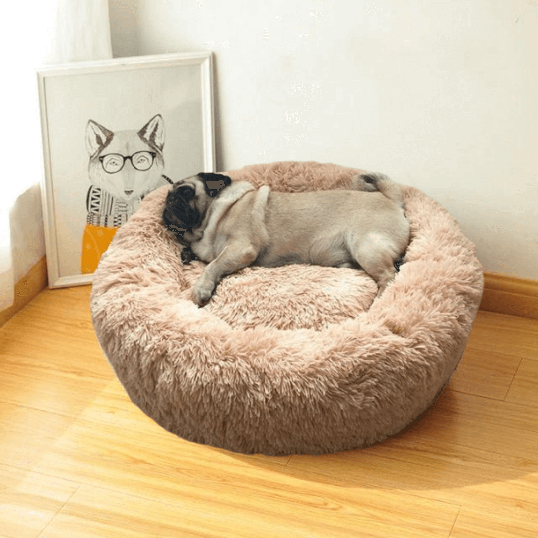 Cama de Luxo Nuvem para Cães e Gatos - Aconchego e Conforto