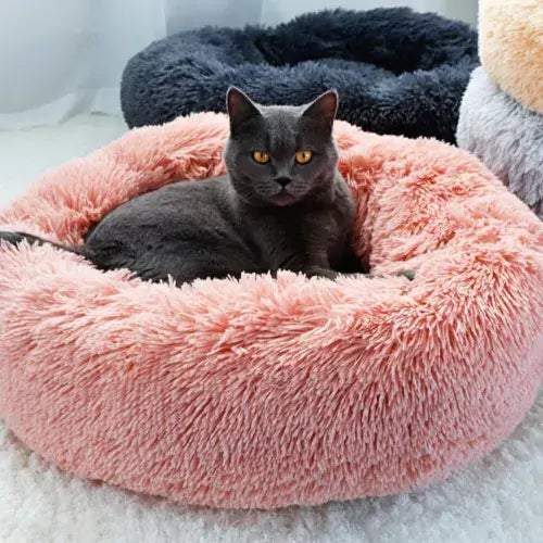 Cama de Luxo Nuvem para Cães e Gatos - Aconchego e Conforto