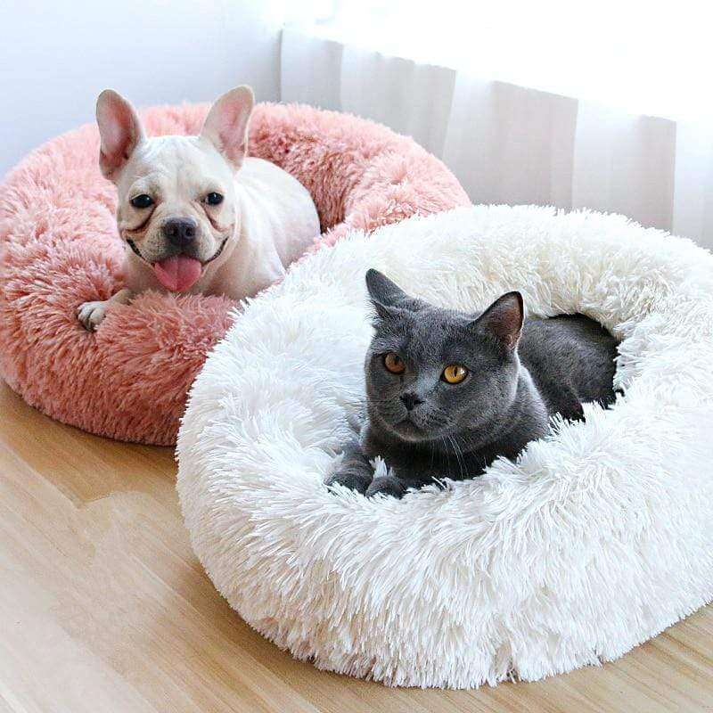 Cama de Luxo Nuvem para Cães e Gatos - Aconchego e Conforto