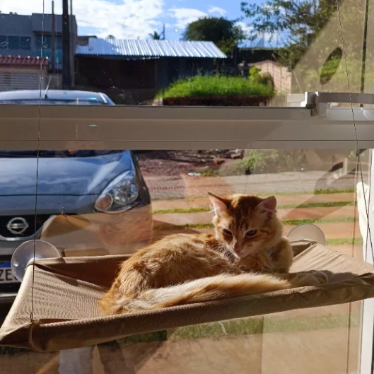 Cama para Gatos de Janela - Confortável e Segura