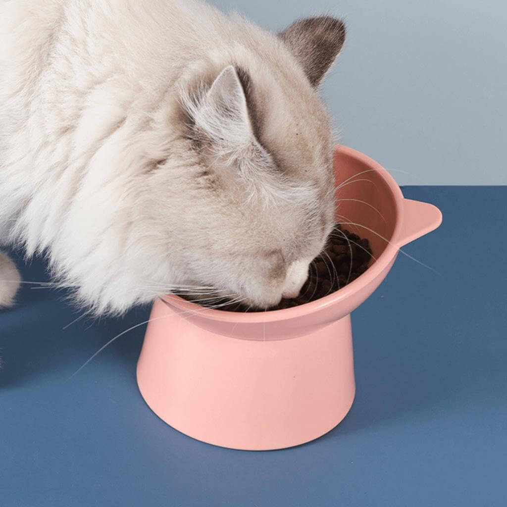 Comedouro Elevado e Ergonômico para Gatos - Bebedouro Integrado