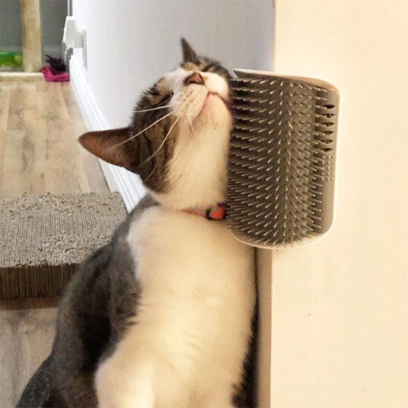 Escova Autoesfregante para Gatos - Acessório de Higiene e Cuidados