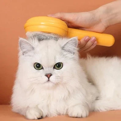Escova Desembaraçadora Mágica para Gatos - Eficaz e Confortável