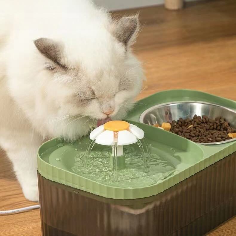 Fonte de Água e Comedouro Automático para Gatos e Cães - Bebedouro e Alimentador