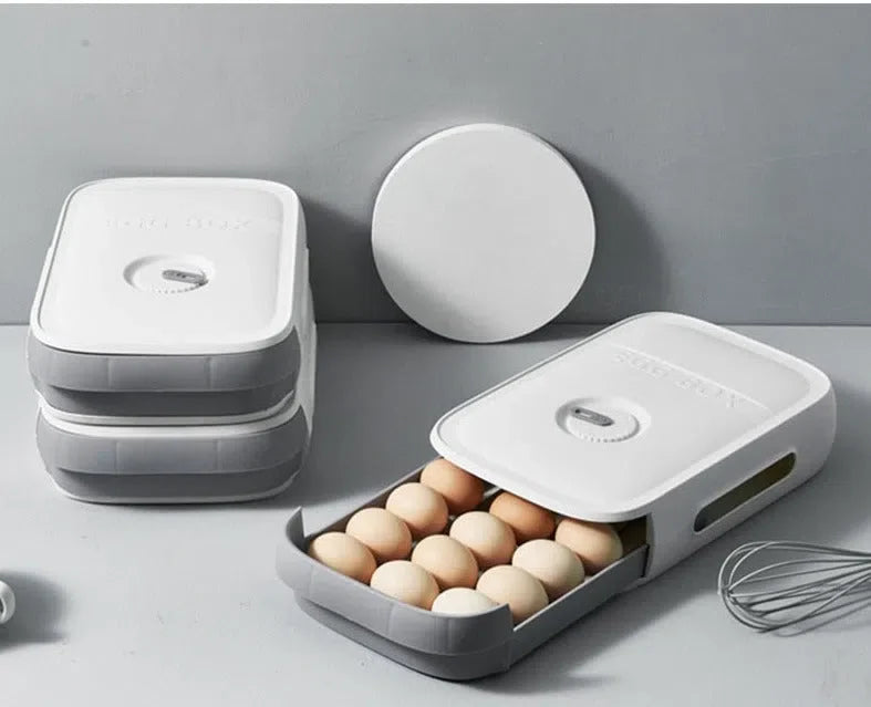 Organizador de Ovos em Plástico para Armazenamento e Transporte