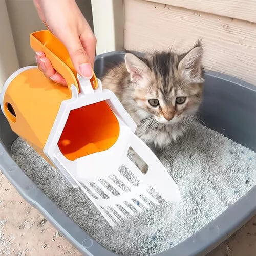 Pá para Catação de Fezes de Gato com Brinde: 1 Rolo de Sacos para Descarte