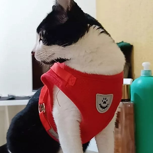 Peitoral Ajustável para Gatos com Guia Inclusa - Conforto e Segurança