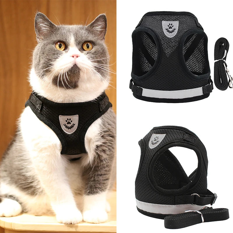 Peitoral Ajustável para Gatos com Guia Inclusa - Conforto e Segurança