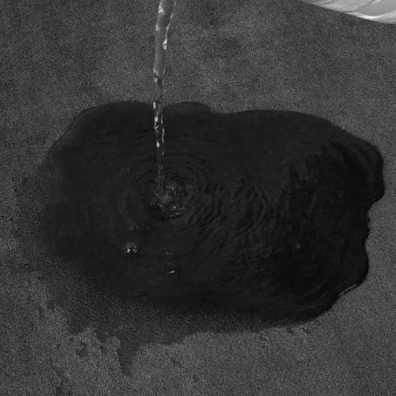 Tapete Antiderrapante de Veludo Coral Super Absorvente