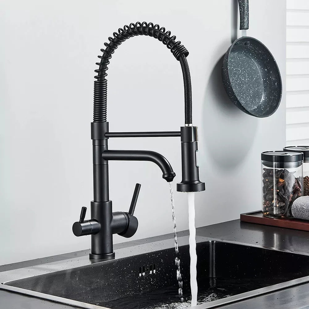 Torneira Gourmet Monocomando com Filtro para Cozinha Neptunus