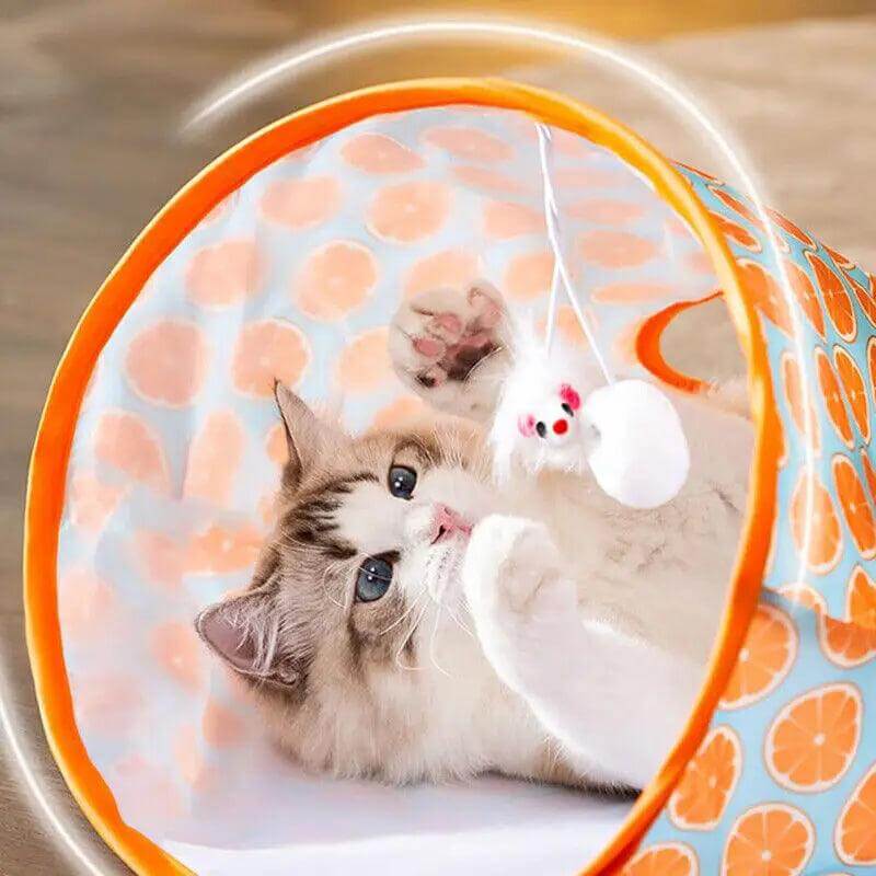 Túnel Interativo para Gatos - Brinquedo para Estímulo e Entretenimento Felino
