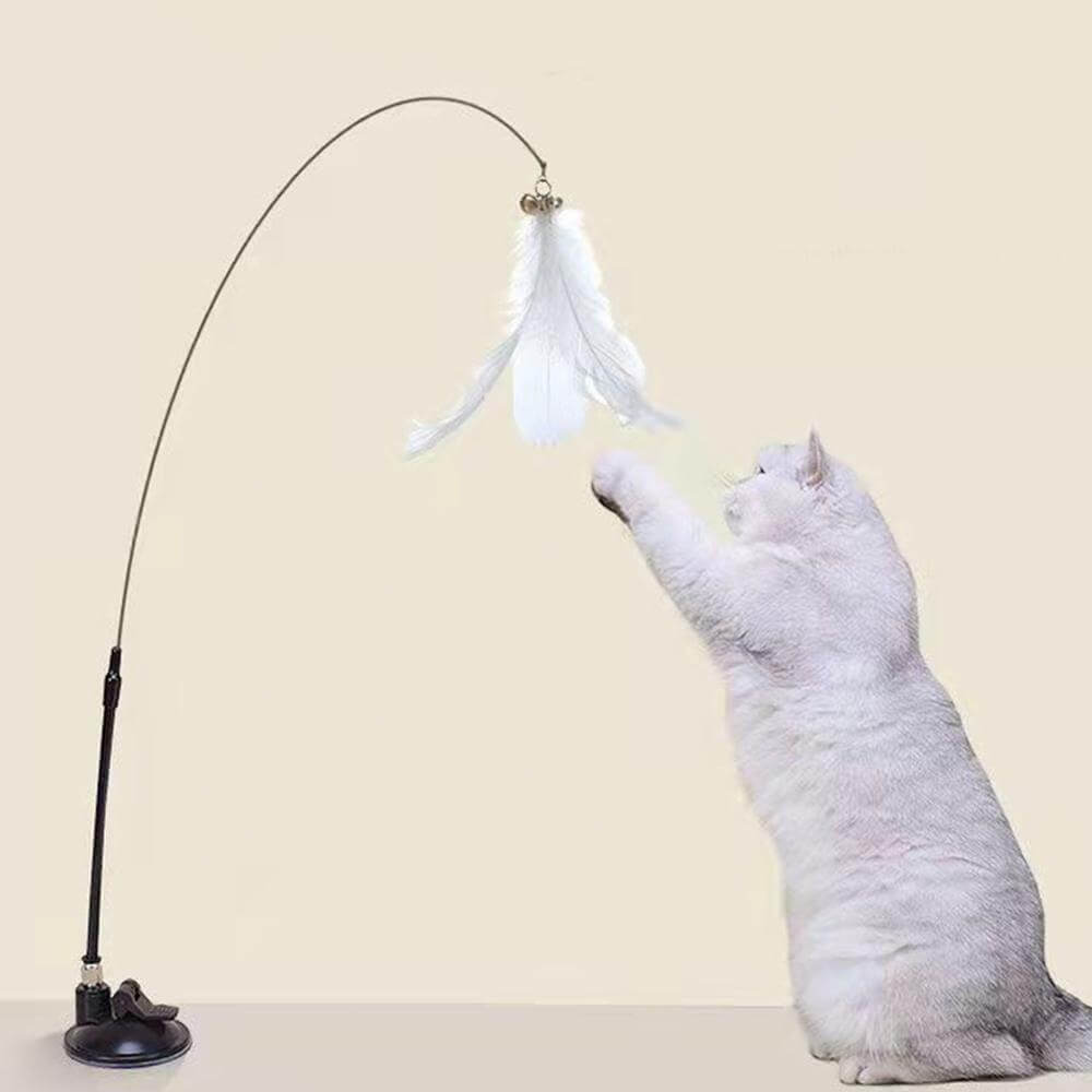 Varinha de Brinquedo para Gatos com Ventosa e Penas Coloridas