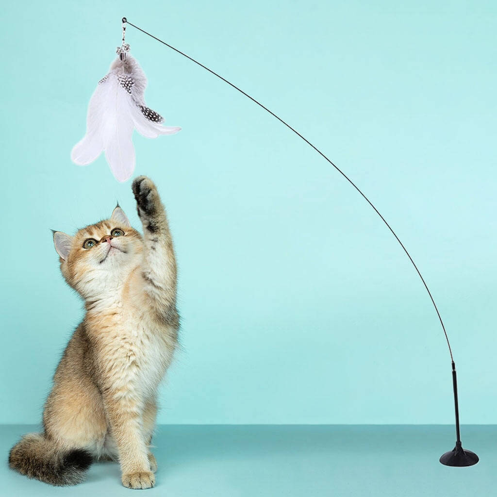 Varinha de Brinquedo para Gatos com Ventosa e Penas Coloridas