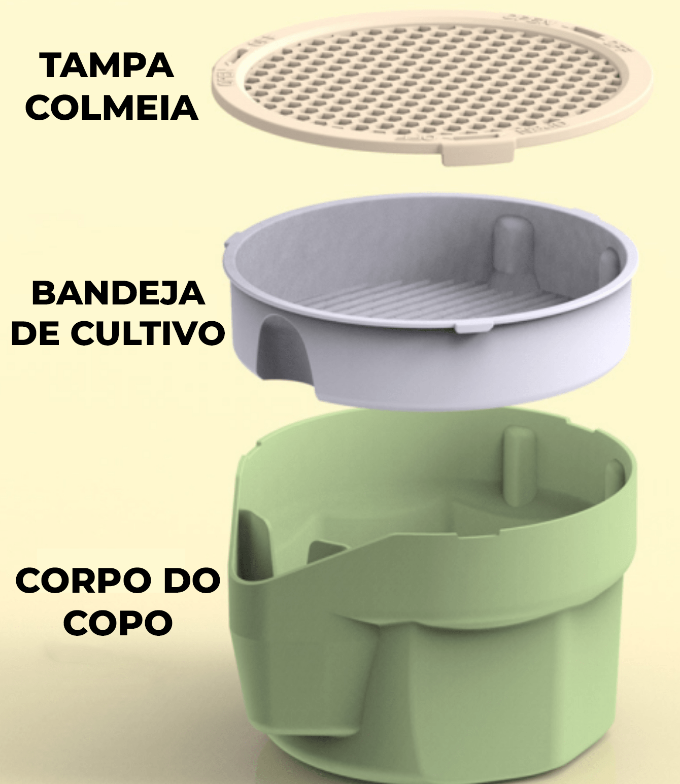 Vaso de Grama Natural para Gatos - Cat Grass Planter