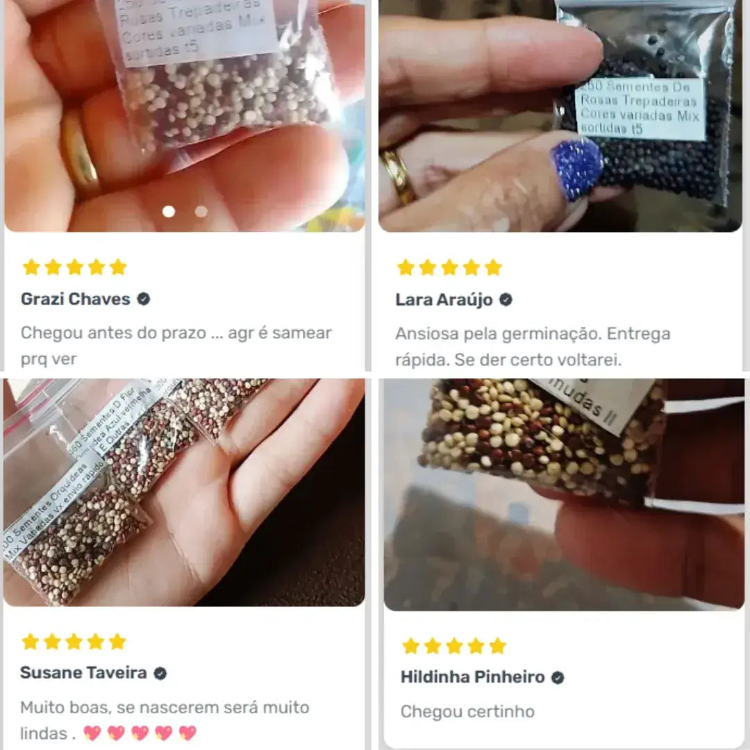 300 Sementes Selecionadas De Rosas Trepadeiras Com Cores Variadas + BRINDE Curso de Jardinagem