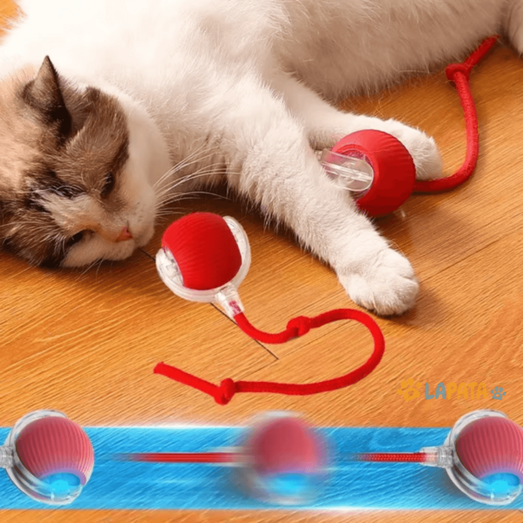 Bola Interativa para Caça de Cães e Gatos - Brinquedo Estimulante para Pets