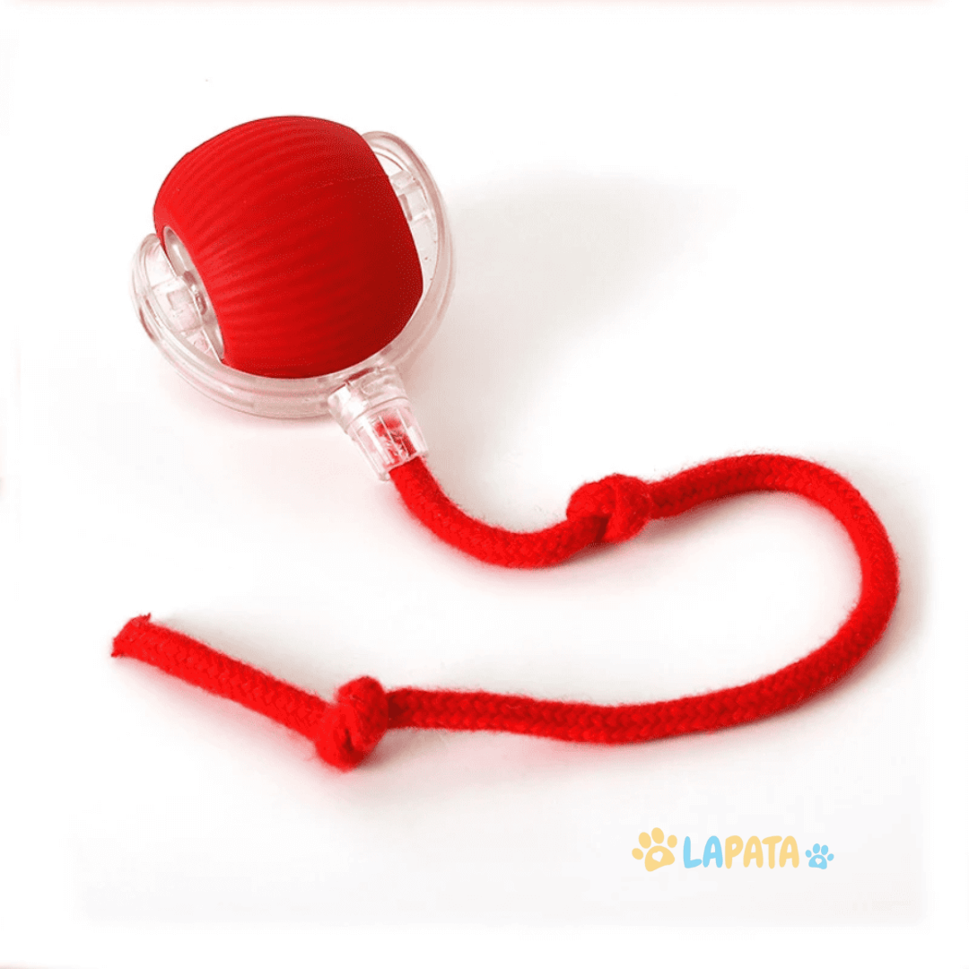 Bola Interativa para Caça de Cães e Gatos - Brinquedo Estimulante para Pets