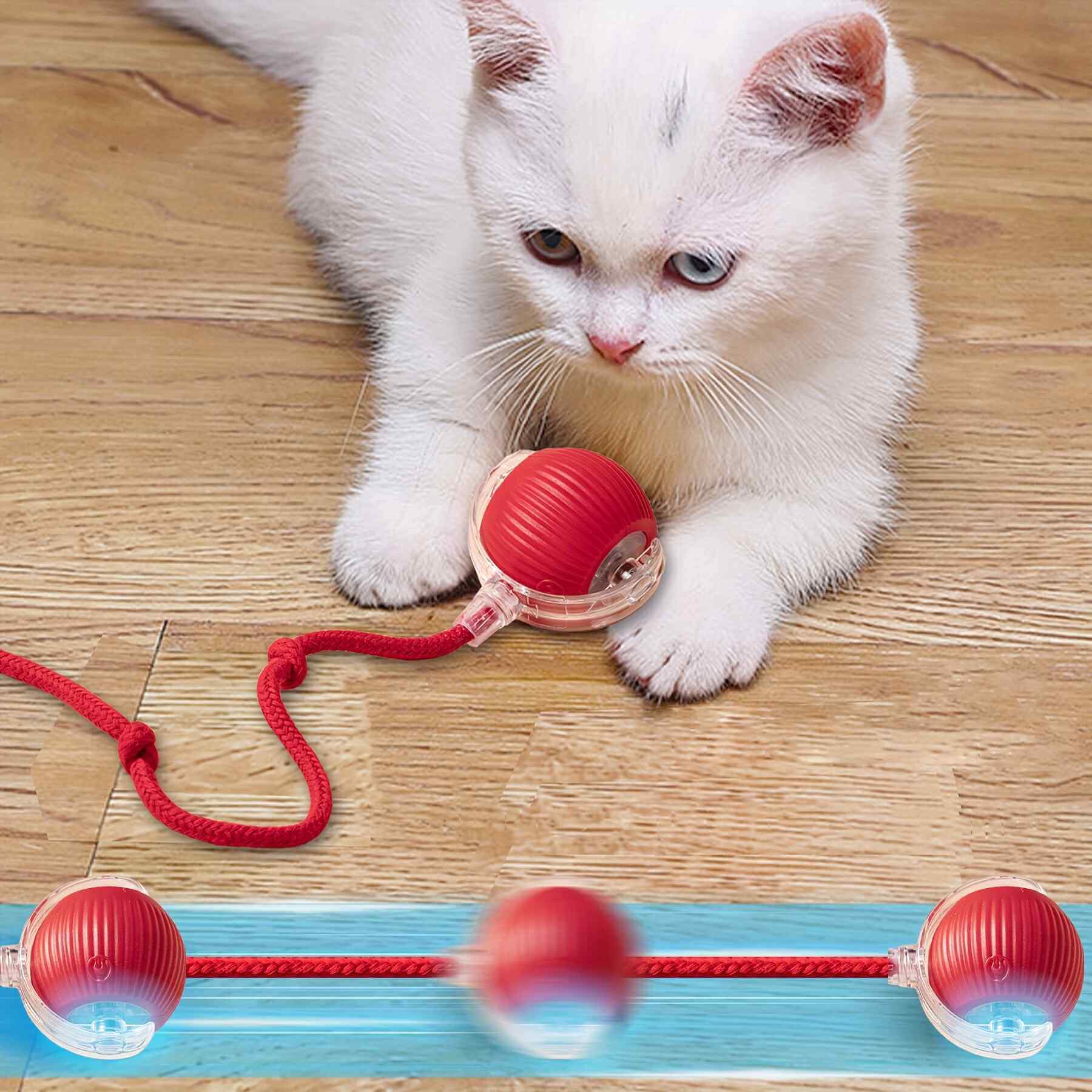 Bola Interativa para Caça de Cães e Gatos - Brinquedo Estimulante para Pets