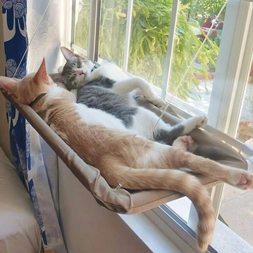Cama para Gatos de Janela - Confortável e Segura