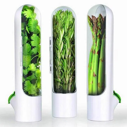 Cápsula para Armazenamento de Ervas Frescas