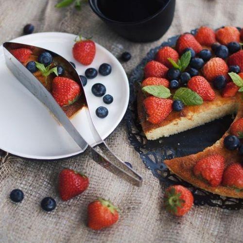 Fatiador de Bolo e Torta Inox com Design Europeu Premium
