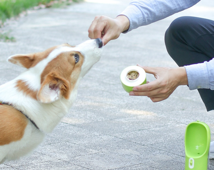 Garrafa Portátil para Água de Animais de Estimação - Ideal para Passeios e Viagens