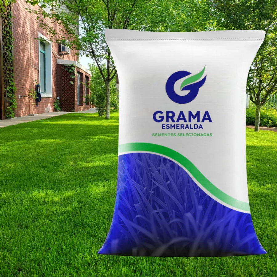 Grama Esmeralda Qualidade Premium Alta taxa de Germinação