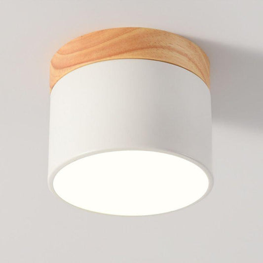 Luminária de Teto Plafon LED Moderno com Luz Branca e Design Elegante