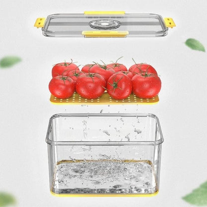 Organizador de Geladeira com Tampa e Indicação de Data