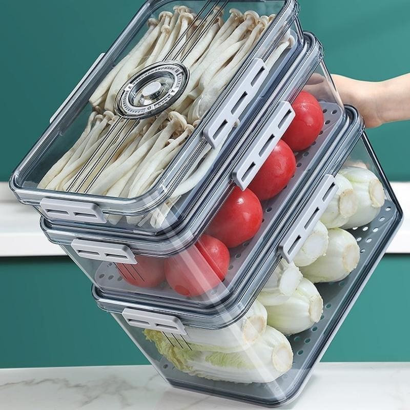Organizador de Geladeira com Tampa e Indicação de Data
