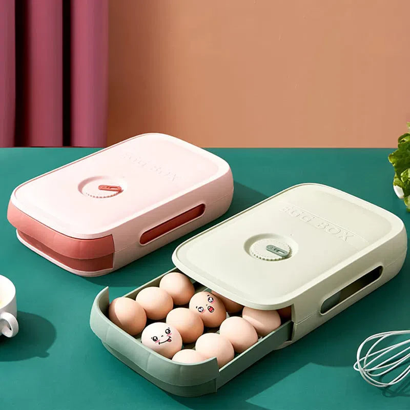 Organizador de Ovos em Plástico para Armazenamento e Transporte