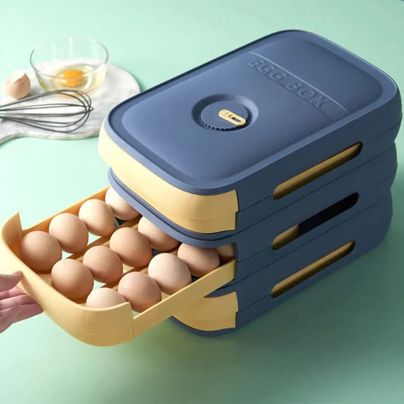 Organizador de Ovos em Plástico para Armazenamento e Transporte