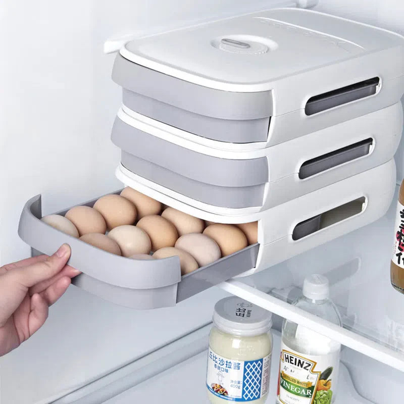 Organizador de Ovos em Plástico para Armazenamento e Transporte