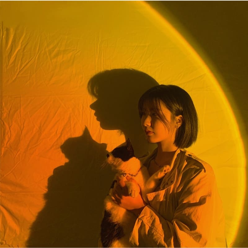 ProjectPRO™ 4-in-1 LED Light Projector