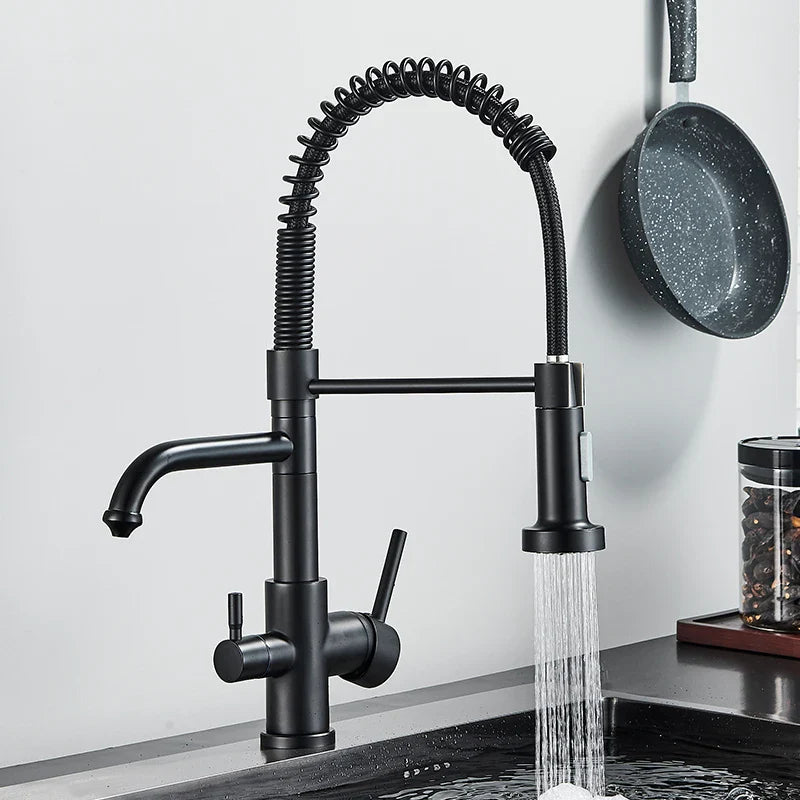 Torneira Gourmet Monocomando com Filtro para Cozinha Neptunus