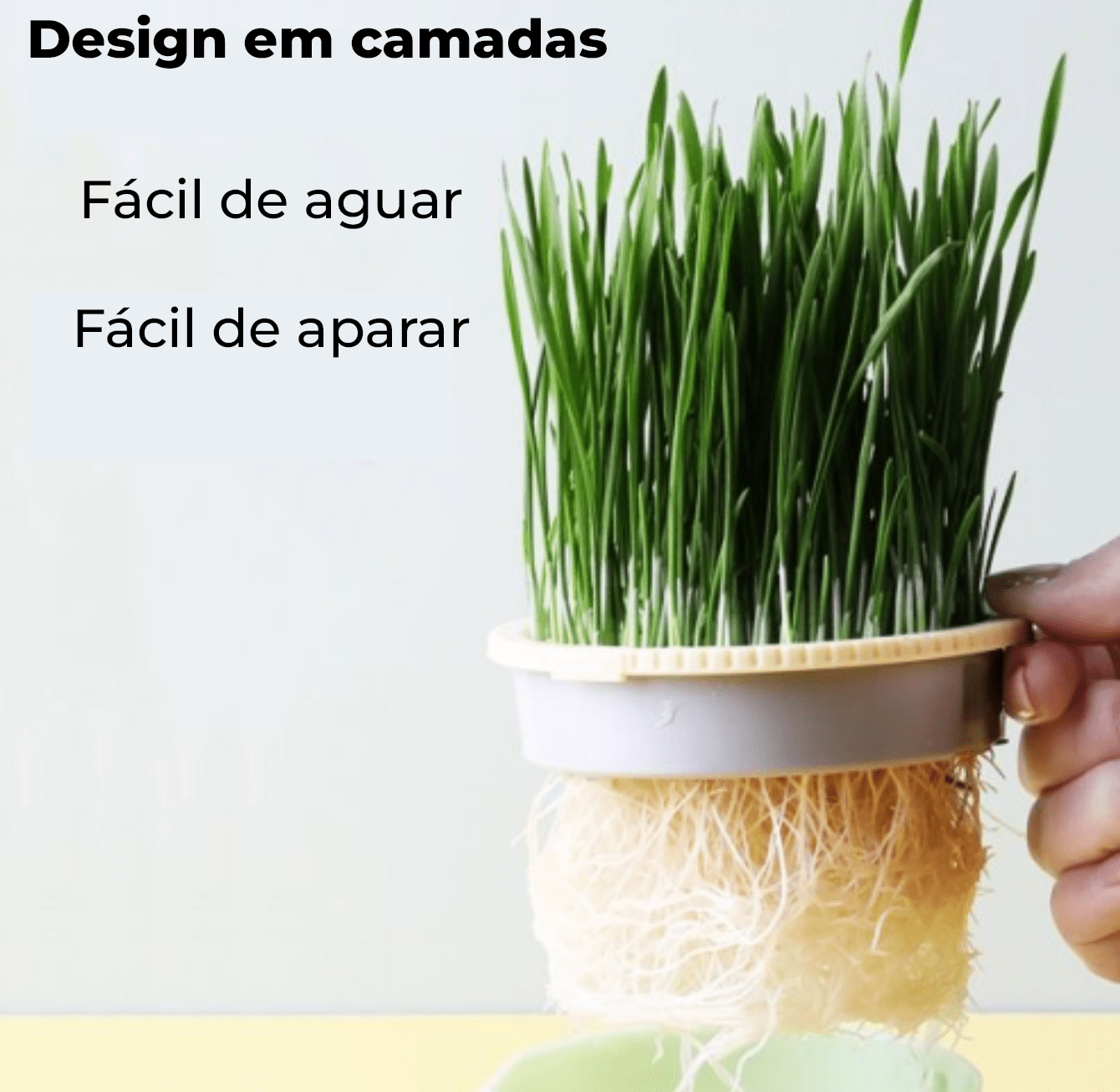 Vaso de Grama Natural para Gatos - Cat Grass Planter