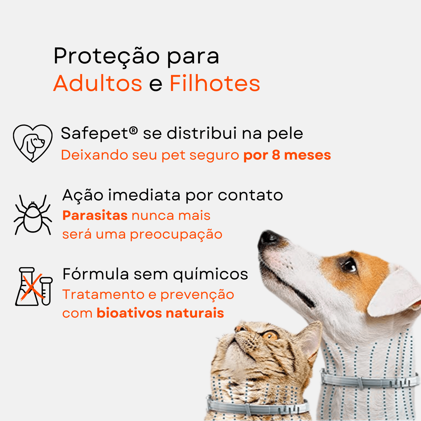 Colar Antipulgas e Carrapatos para Cães e Gatos - Proteção Duradoura por 8 Meses