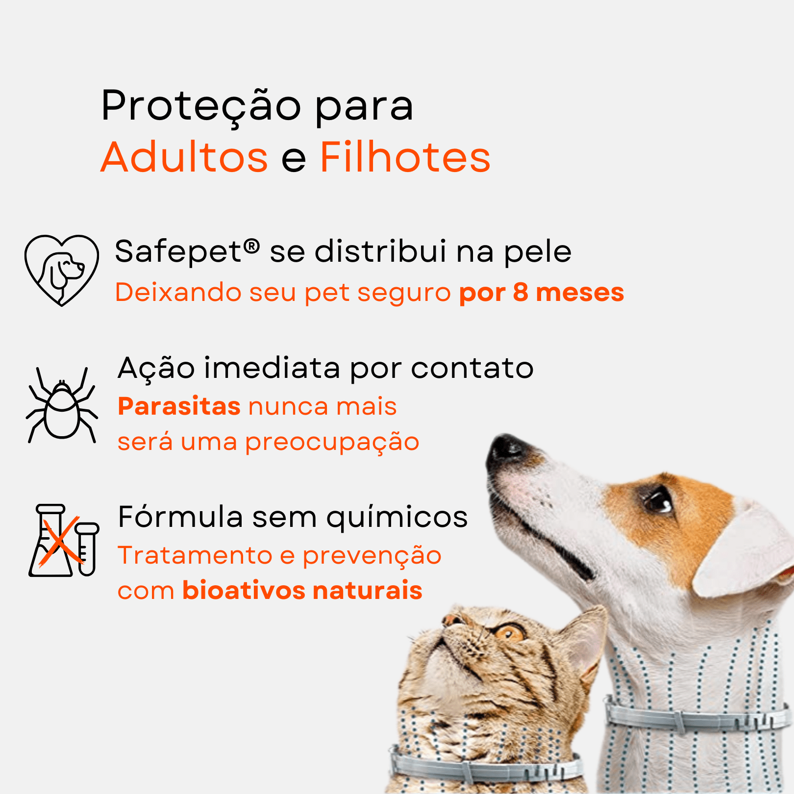 Colar Antipulgas e Carrapatos para Cães e Gatos - Proteção Duradoura por 8 Meses