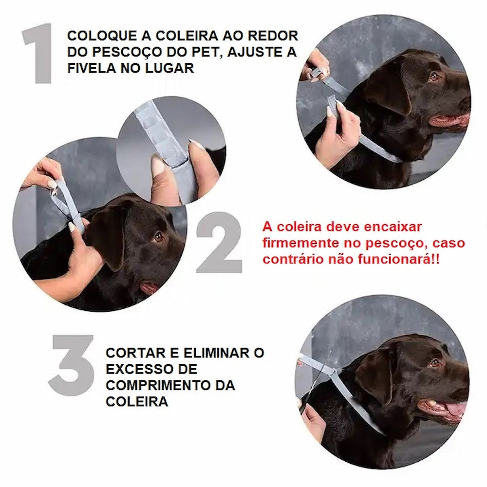 Colar Antipulgas e Carrapatos para Cães e Gatos - Proteção Duradoura por 8 Meses