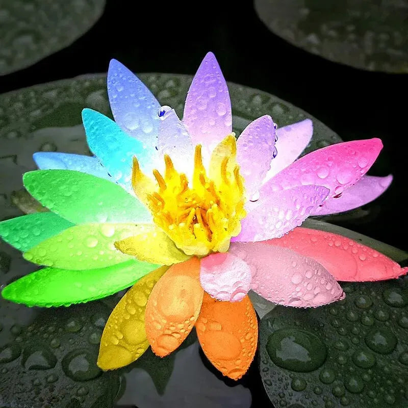 A Sagrada Flor de Lótus 💐+ [BRINDE ESPECIAL]