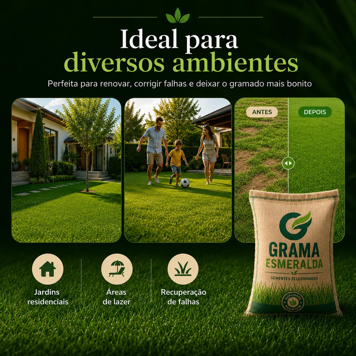 Sementes de Grama Esmeralda Premium – Gramado Denso e Macio