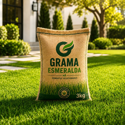 Sementes de Grama Esmeralda Premium – Gramado Denso e Macio